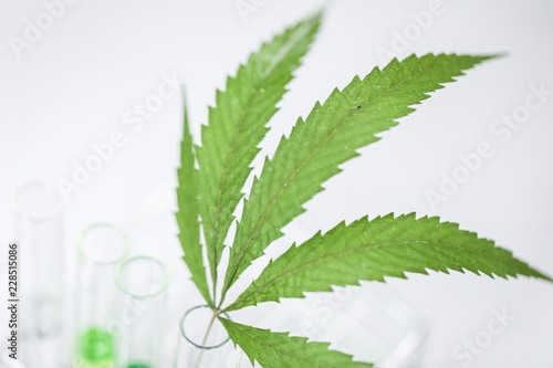 Cannabis (Drugs), Analysis of Cannabis in laboratory.