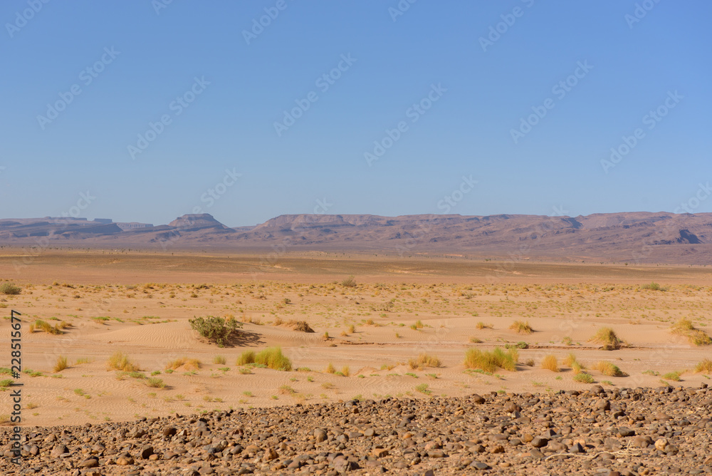Sunny day in Erg Chebbiin Desert of Sahara, Marruecos Sunny day in Erg Chebbiin Desert of Sahara, Marruecos