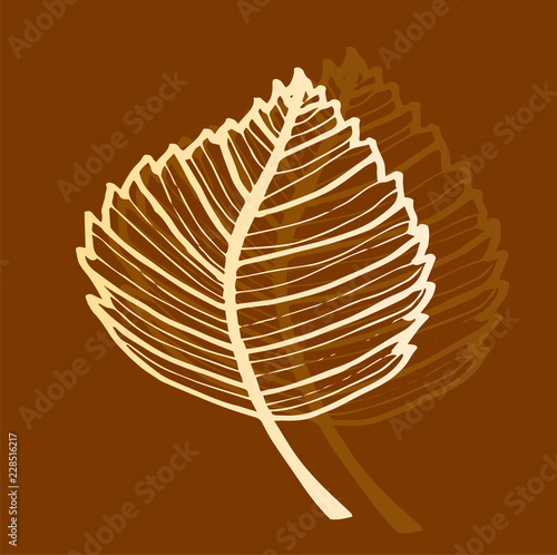 Silhouette of autumn leaf with shadow on brown background. Beautiful autumn card