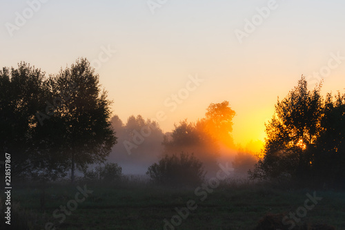 The sun's rays Shine through the fog in the summer morning at dawn in a field with trees