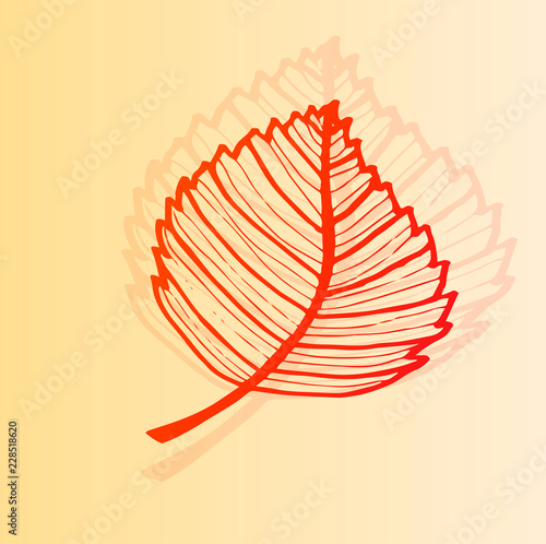 Silhouette of autumn leaf with shadow on gradient background. Beautiful autum...