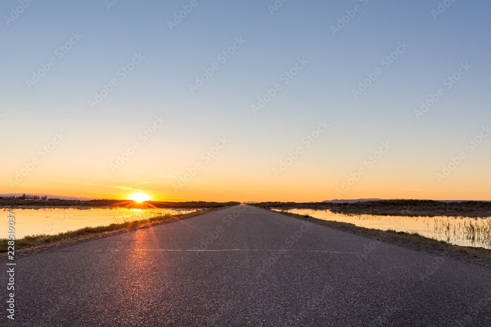 Fototapeta premium road in sunset