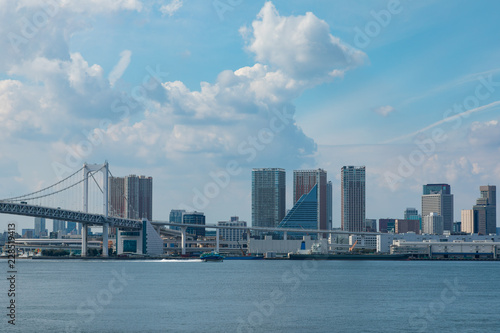(東京都ｰ都市風景)富士見橋から望むレインボーブリッジ３ © moarave
