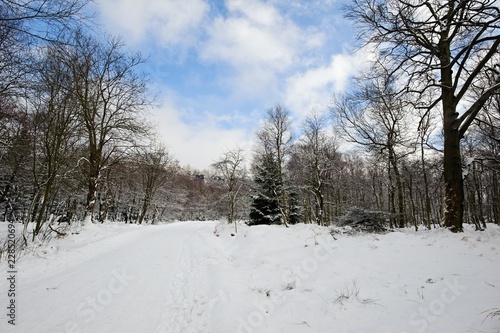Wallpaper Mural Winter landscape covered with snow Torontodigital.ca