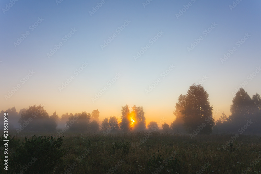 The sun's rays Shine through the fog in the summer morning at dawn in a field with trees