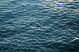 ripples in the surface of the sea