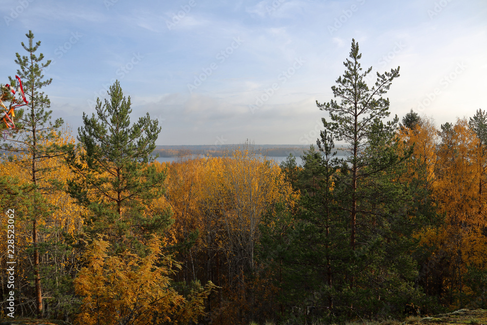 Beautiful Karelian forest landscape in early autumn in Russia
Beautiful Karelian forest landscape in early autumn in Russia