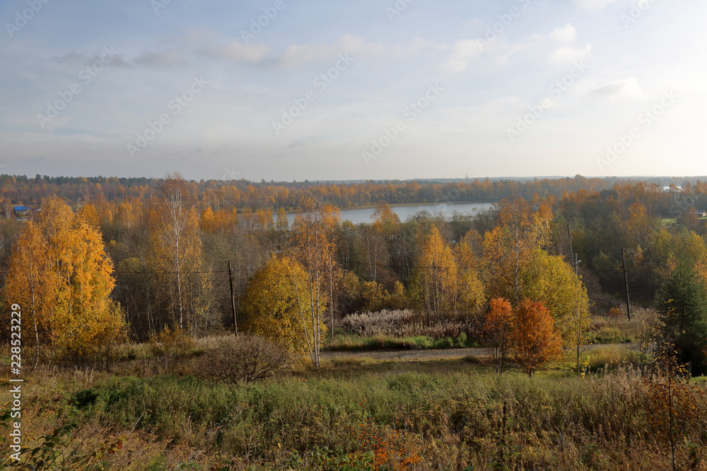 Beautiful Karelian forest landscape in early autumn in Russia
