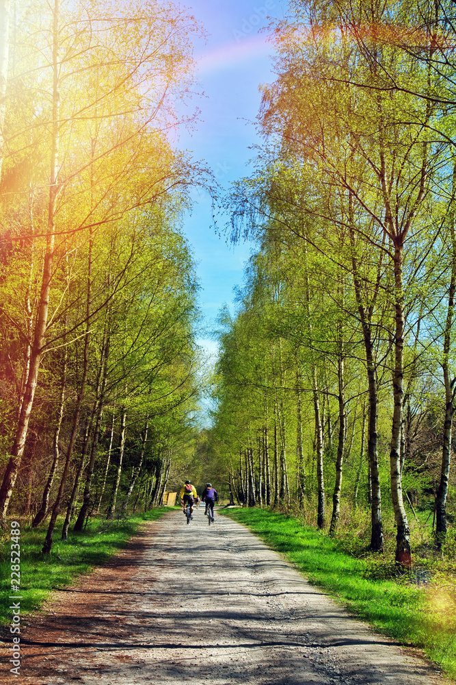 Fototapeta premium Beautiful Forest and Sunlight and Riding Bike