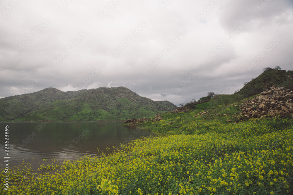 Obraz premium By the lake
