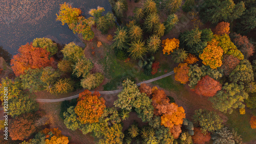 Aerial view of autumn foliage forest.