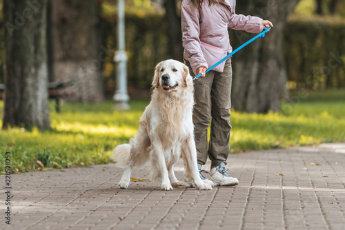 cropped shot of young woman walking with guide dog in park