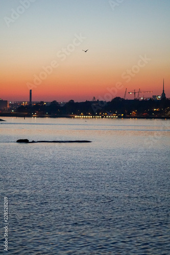 Helsinki cityscape in the evening © Seppo
