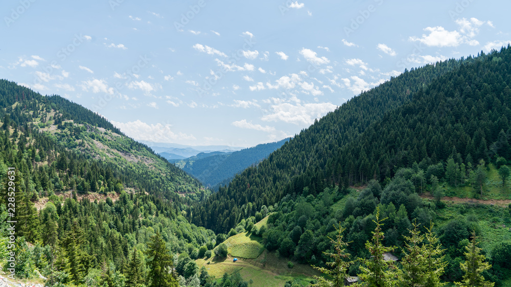 Fototapeta premium Beautiful green nature landscape of trees and forests in rural areas of Blacksea region, Artvin, Turkey