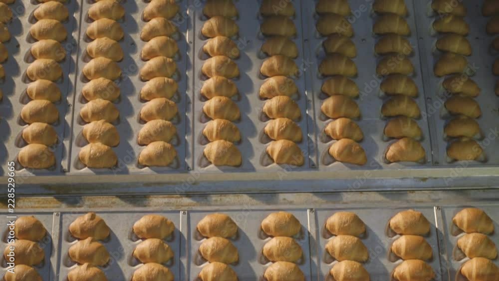 Production of small buns conveyor Production of small buns conveyor