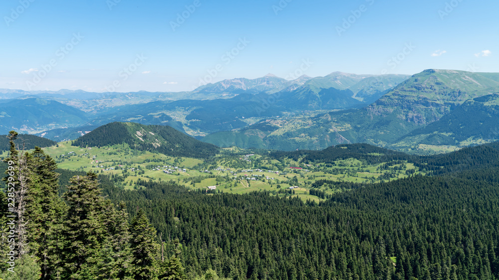 Fototapeta premium Beautiful green nature landscape of trees and forests in rural areas of Blacksea region, Artvin, Turkey