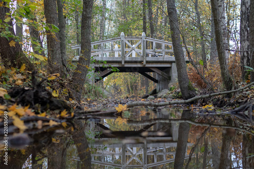 a bridge over autumn creek