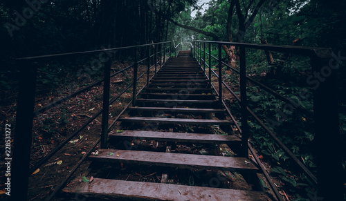 stairs walking in the forest Thailand