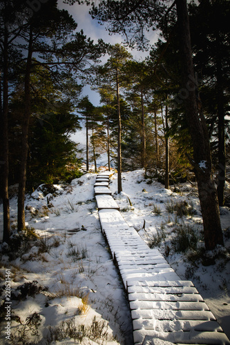 Boardwalk to the mountains in the snow, Lake District, UK
