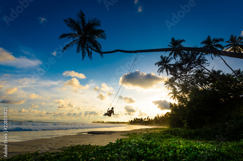 A female tourist is enjoying sunset on a palm swing in Sri Lanka. Palm swings are popular attractions around Dalawella and Dickwella beaches