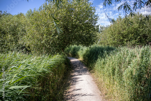 Walk into a bird sanctuary through the reeds