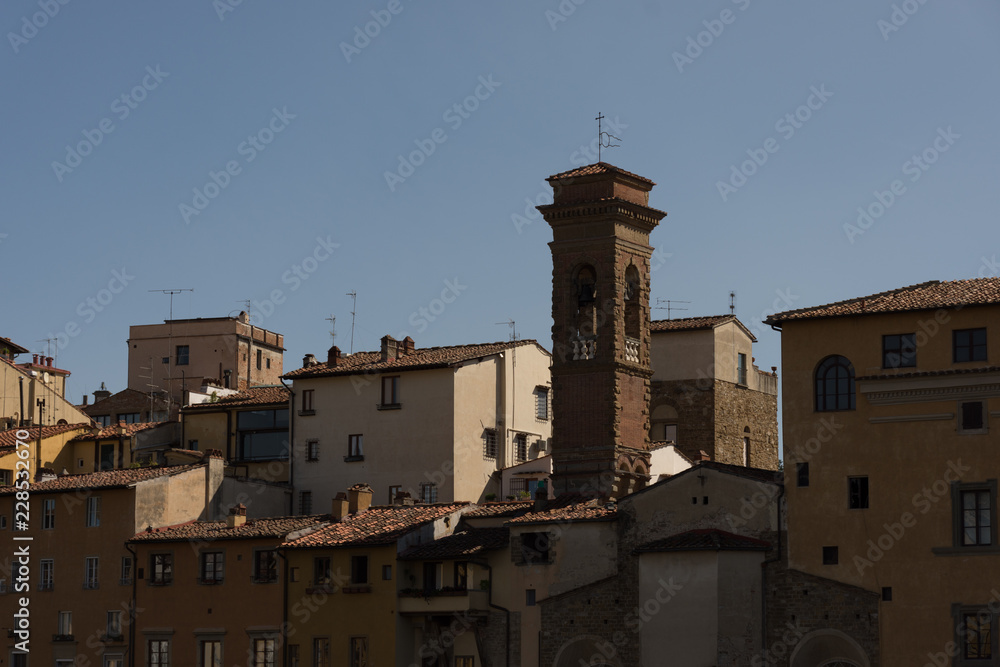 Obraz premium view over florence