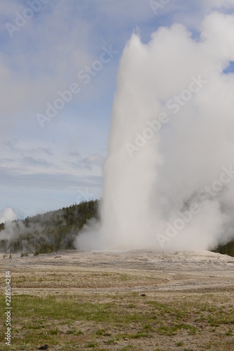 Old Faithful Geyser in Yellowstone National Park erupts about every 30 minutes with a high stream of boiling hot water
