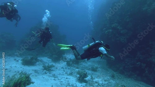 Wallpaper Mural Group of scuba divers swim near coral reef - Red Sea, Marsa Alam, Egypt   Torontodigital.ca
