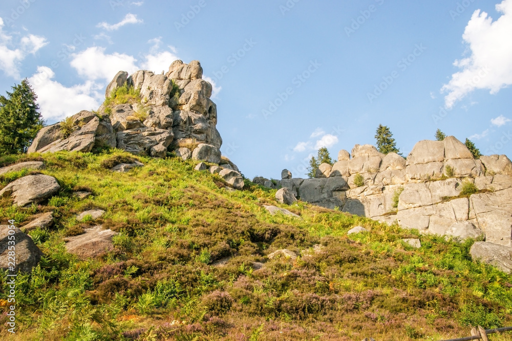 Rocks and forest in the mountains.