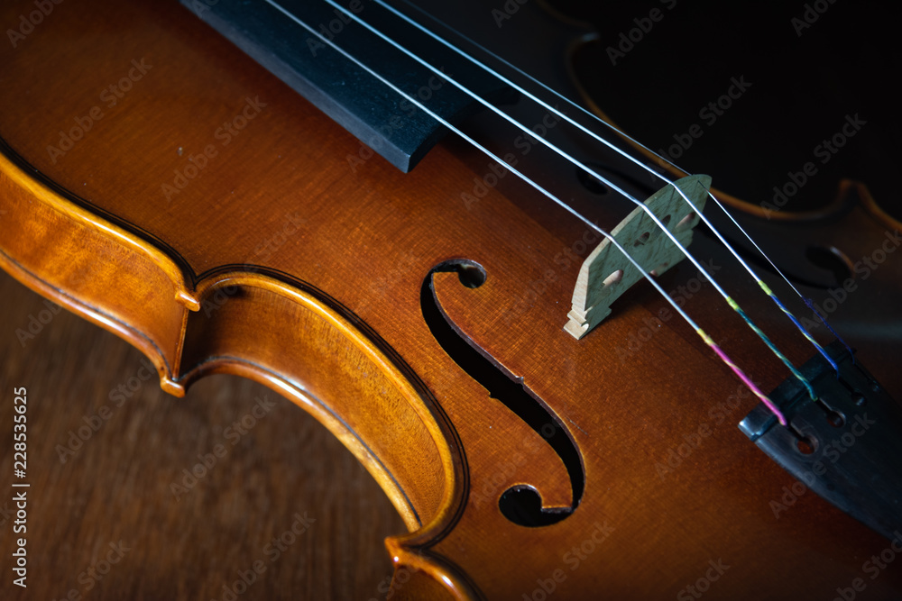 Fototapeta The classical violin with colorful string
