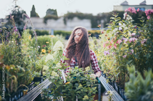 Photography Gardener woman with shopping cart choosing plants and walking along alley in a g