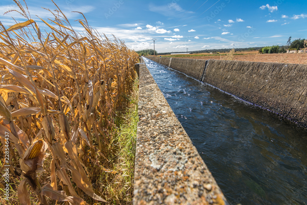 Irrigation canal in the province of Zamora corn growing area (Spain)
