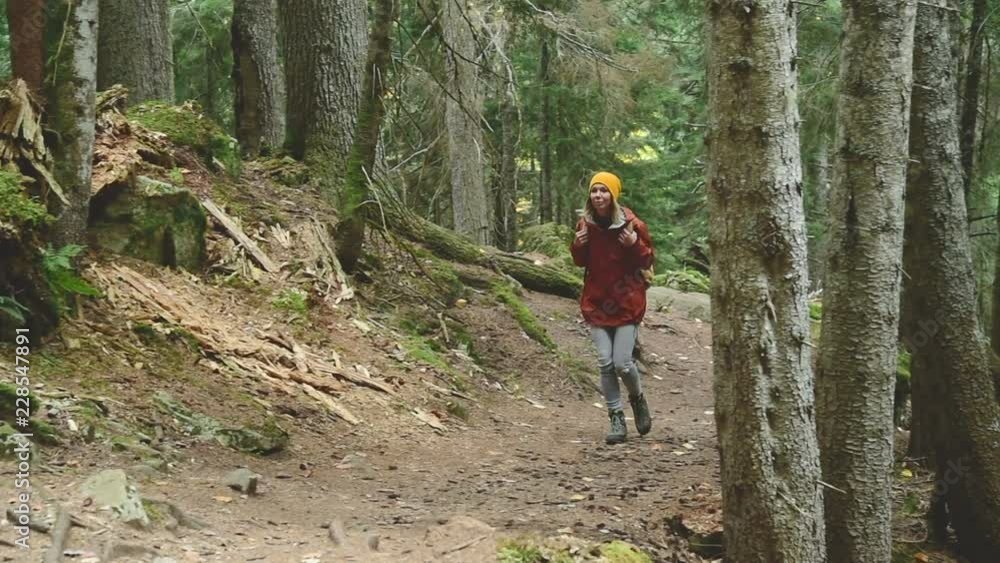 Slender girl goes along the path to the top in the coniferous forest. Tourism in the Caucasus Reserve. Will approach the camera Slender girl goes along the path to the top in the coniferous forest. Tourism in the Caucasus Reserve. Will approach the camera