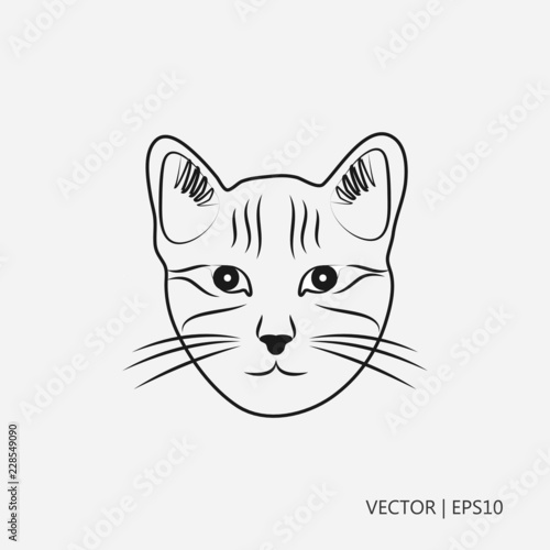 Lynx vector illustration