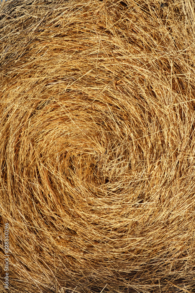straw, dry straw, hay straw yellow background, hay straw texture straw, dry straw, hay straw yellow background, hay straw texture