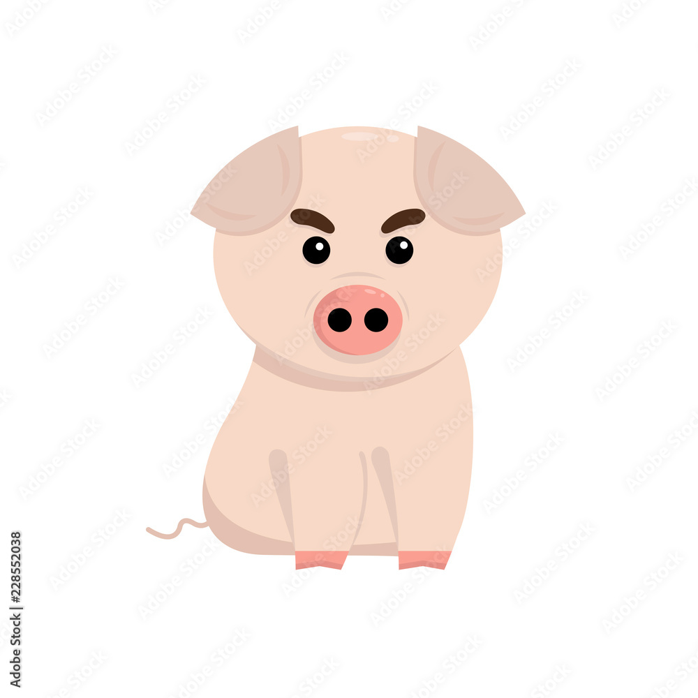 Fototapeta premium cute pig cartoon