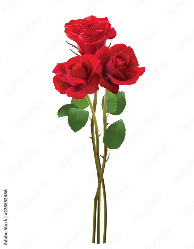 Bouquet of roses, isolated on white. Realistic vector 3d illustration Bouquet of roses, isolated on white. Realistic vector 3d illustration