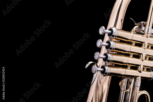 Canvas Print A four valve lacquered flugelhorn on a black background