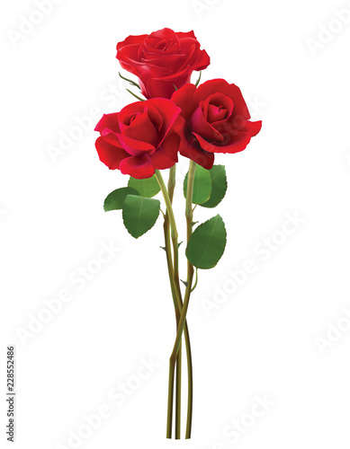 Bouquet of roses, isolated on white. Realistic vector 3d illustration
