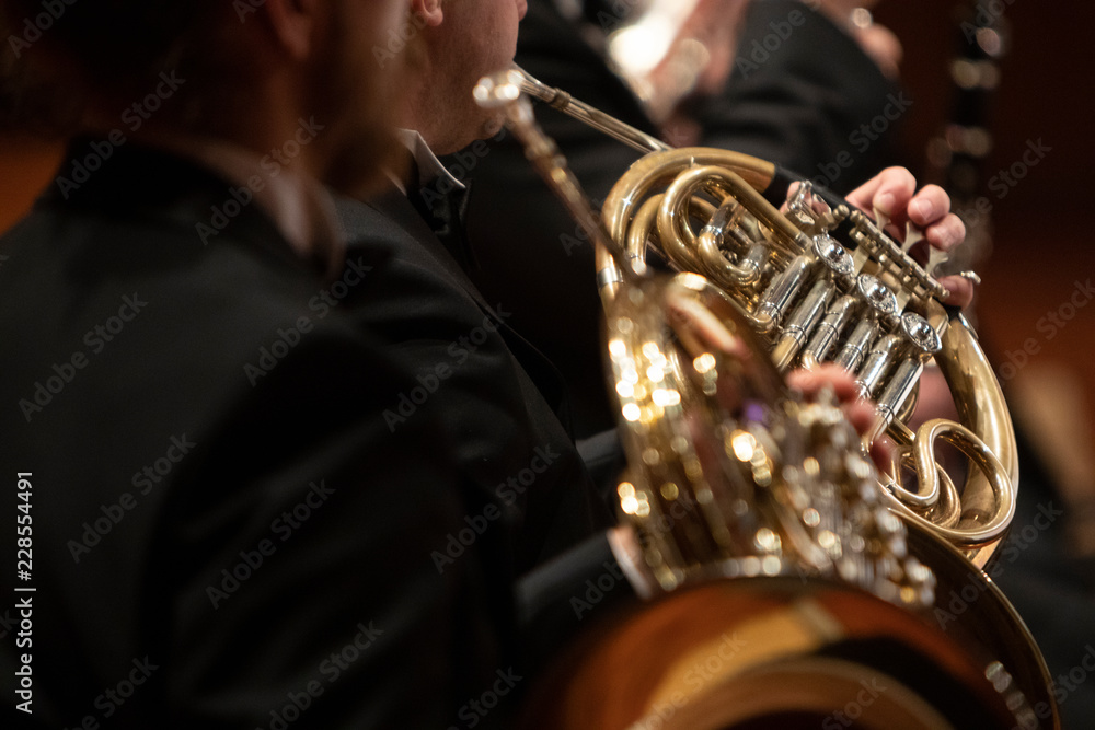 Obraz premium A person playing a French horn during a concert