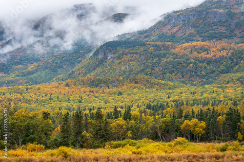 Alaskan landscape in fall color, yellow and green trees and bushes, overcast day and fog rolling over Dumpling Mountain, Katmai National Park, Alaska, USA 