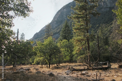 landscape with mountain