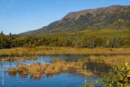 Alaskan landscape in fall color, Brooks River with marsh grasses, Dumpling Mountain and blue sky, Katmai National Park, Alaska, USA 