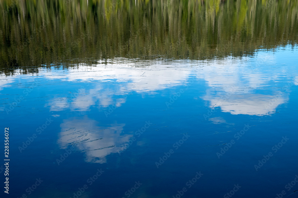 reflection of trees in water reflection of trees in water