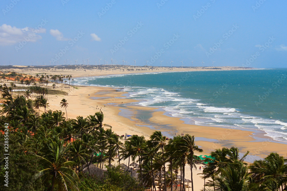 View of Lagoinha Beach from above: ocean with waves, palm trees, dunes and wind turbines