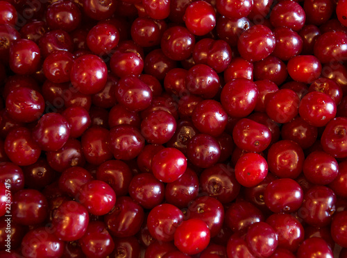 Ripe cherries with water drops