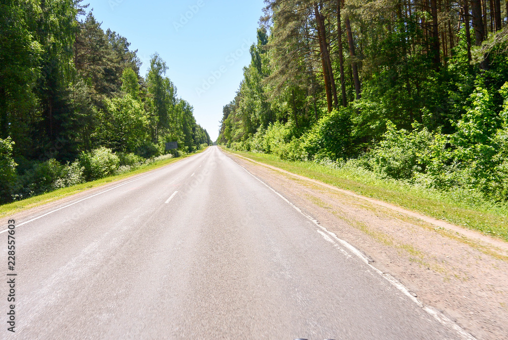road in the forest road in the forest