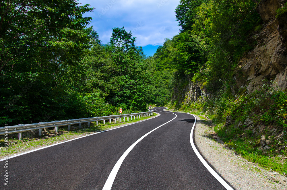 Obraz premium Bends of a mountain road through a beautiful summer forest