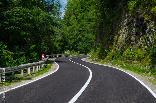 Bends of a mountain road through a beautiful summer forest