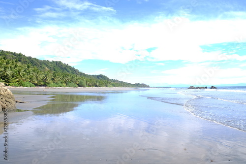 Costa Rica Palmen Natur Strand Meer Blau wei   gr  n 